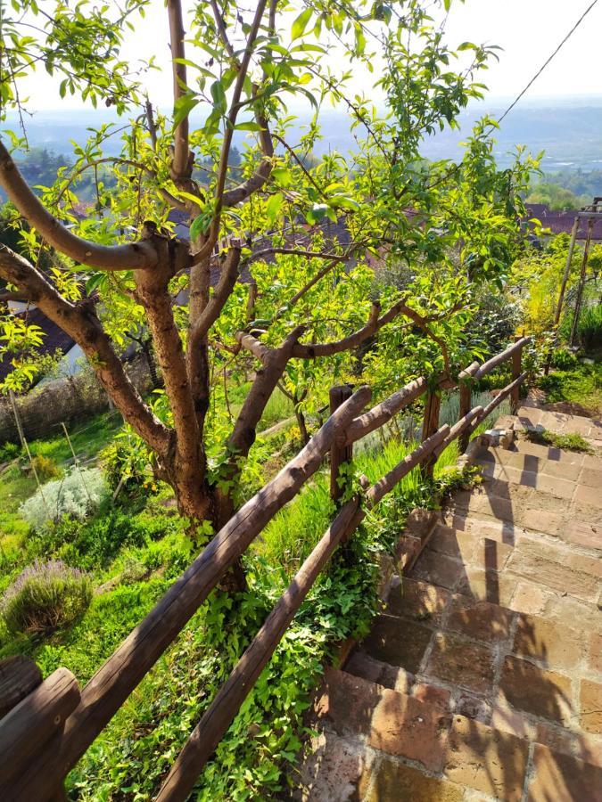 Casa Mantel Holiday Home Panoramic View In Langhe Novello Extérieur photo
